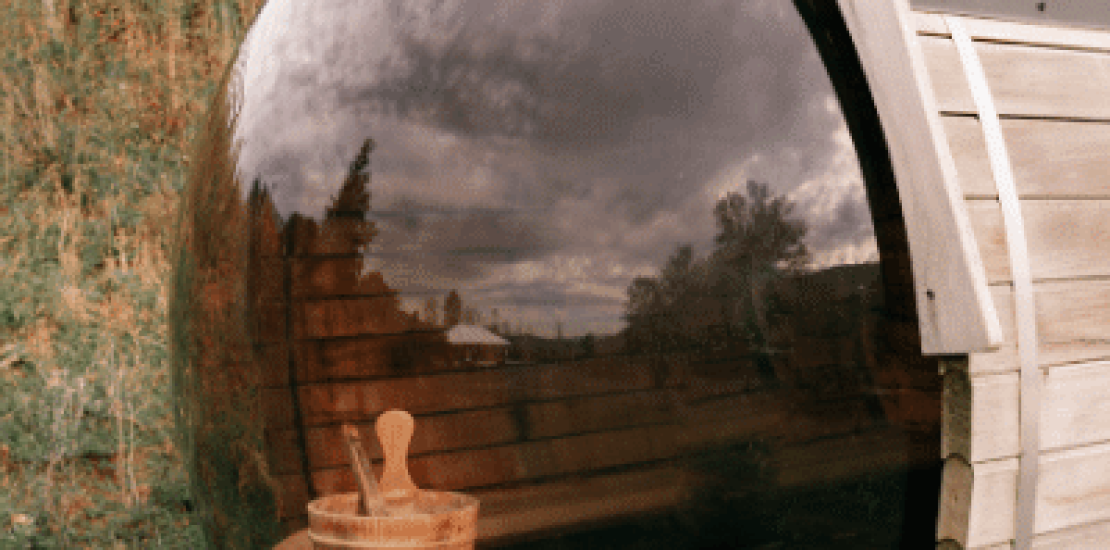 Untitled design - 2023-12-22T120545.659