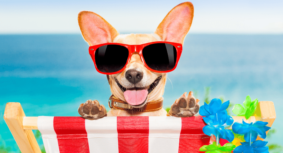 Untitled design (30)